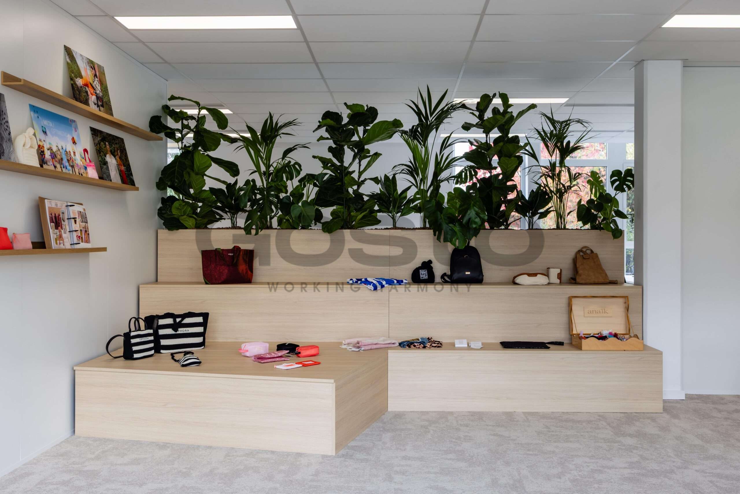 2025 10 Gosto – Anaik – 001-min