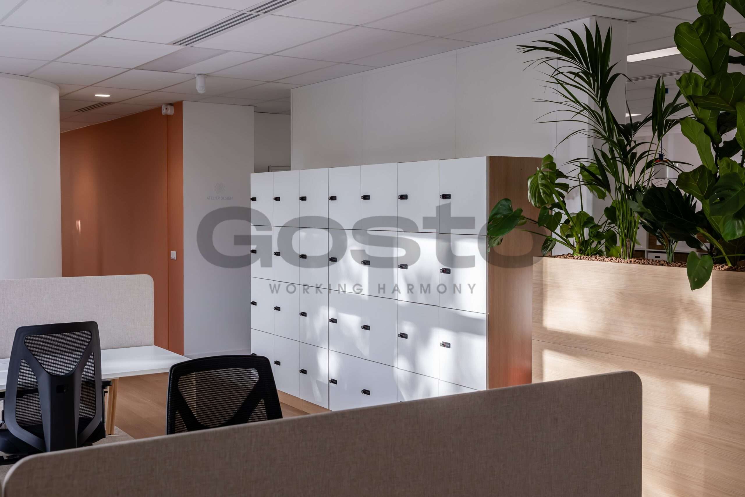 2025 10 Gosto – Anaik – 011-min