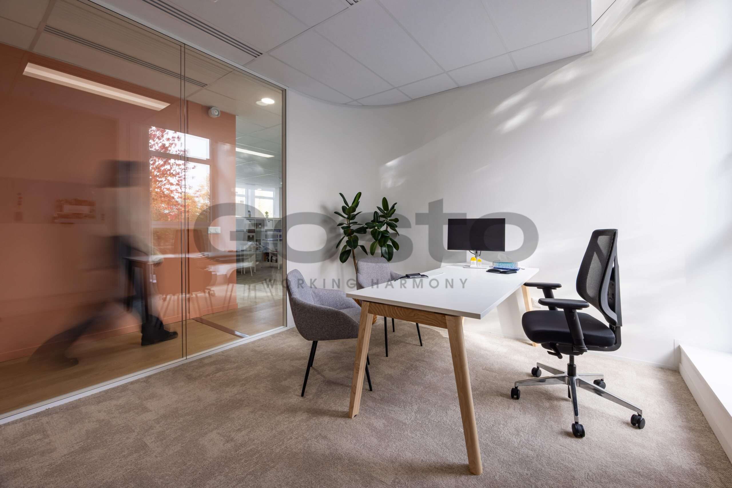 2025 10 Gosto – Anaik – 020-min