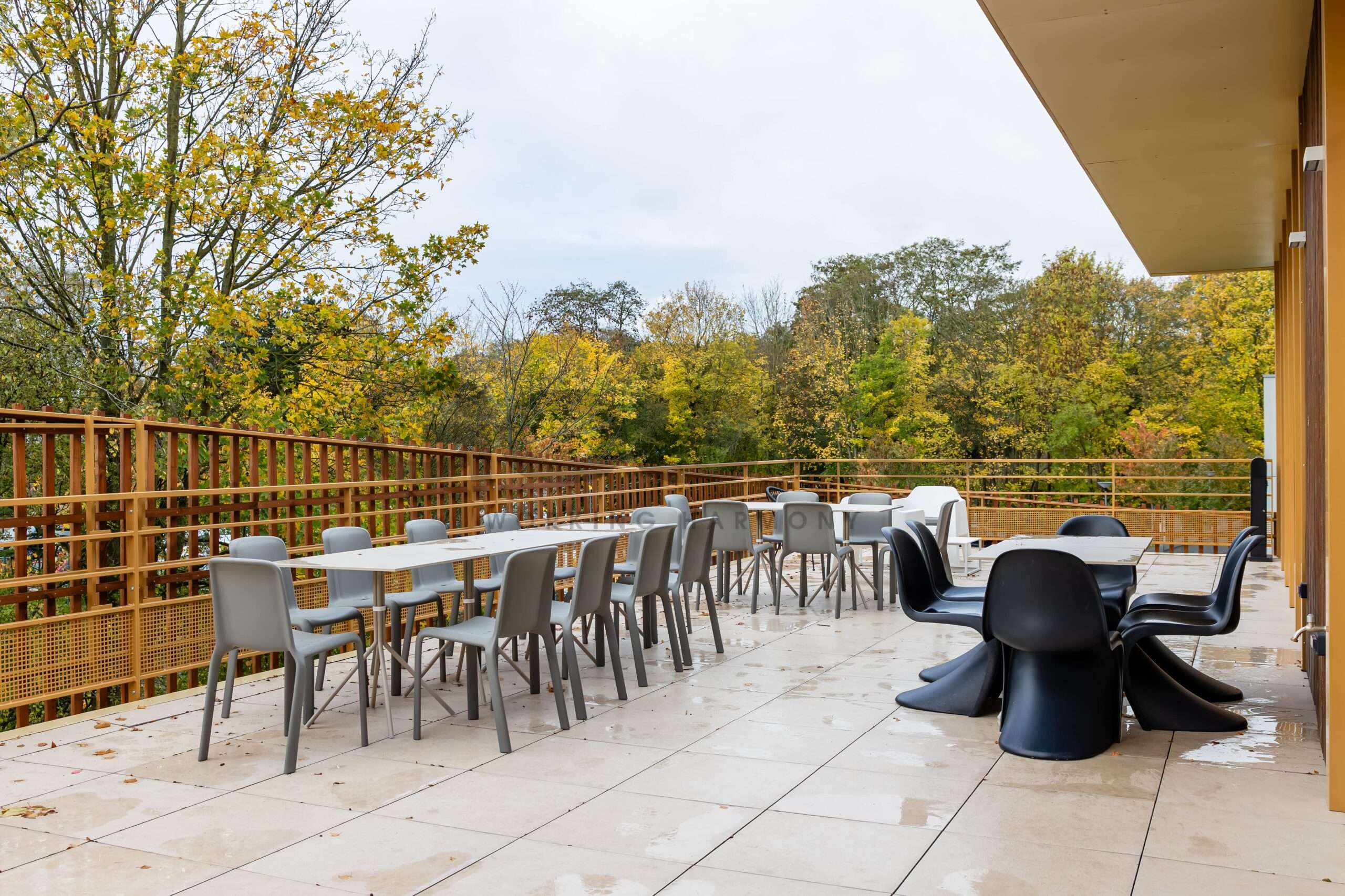 2025 10 Gosto – Anaik – 040-min